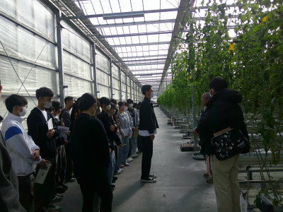 ワンダーファーム